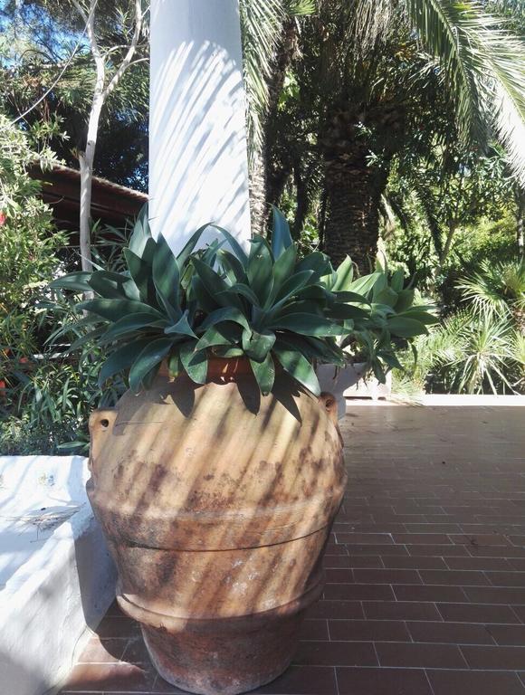 Cala Cavone Guest House Ponza Esterno foto